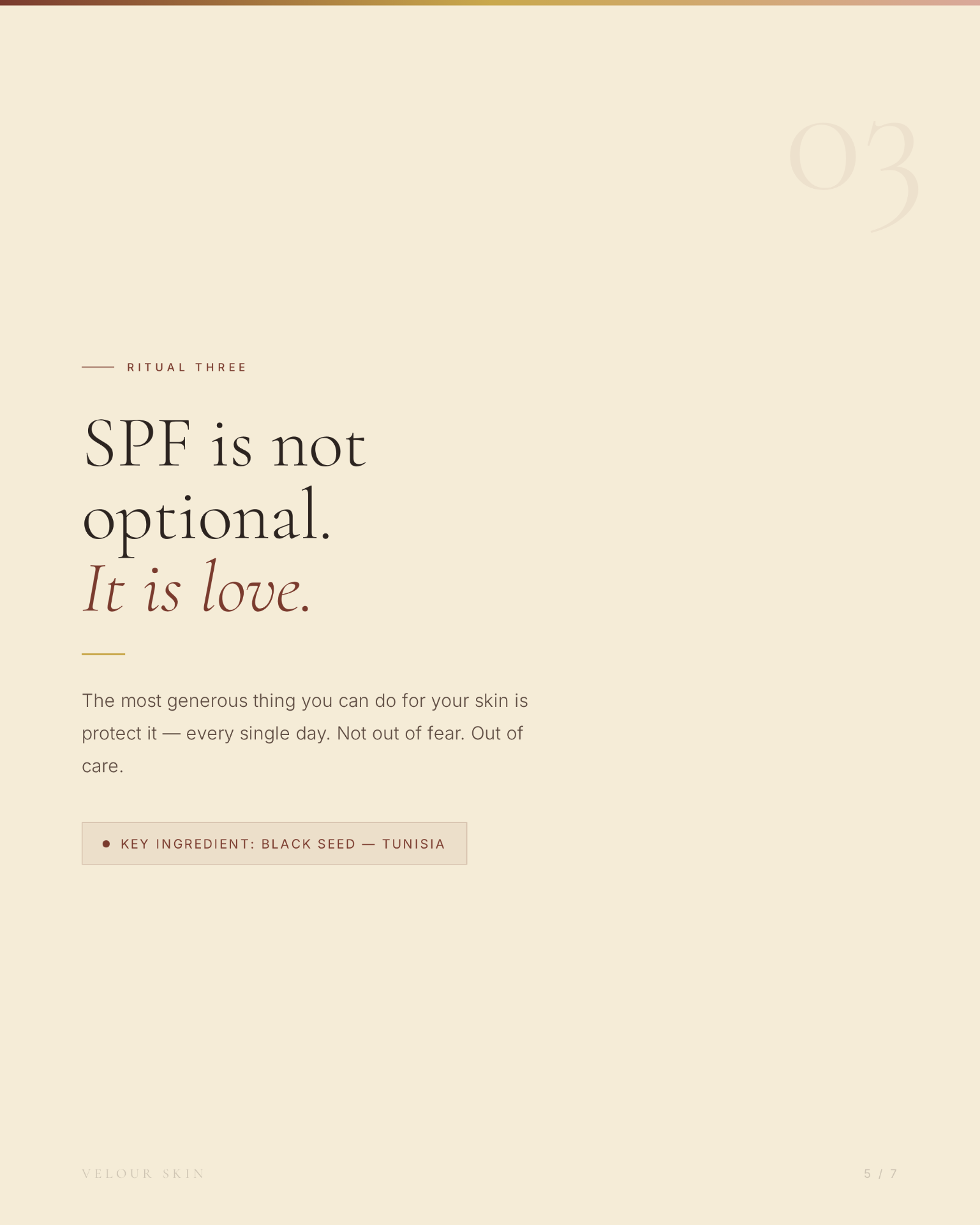 Slide 5